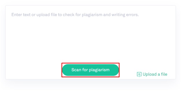 Grammarly Plagiarism Checker Tool